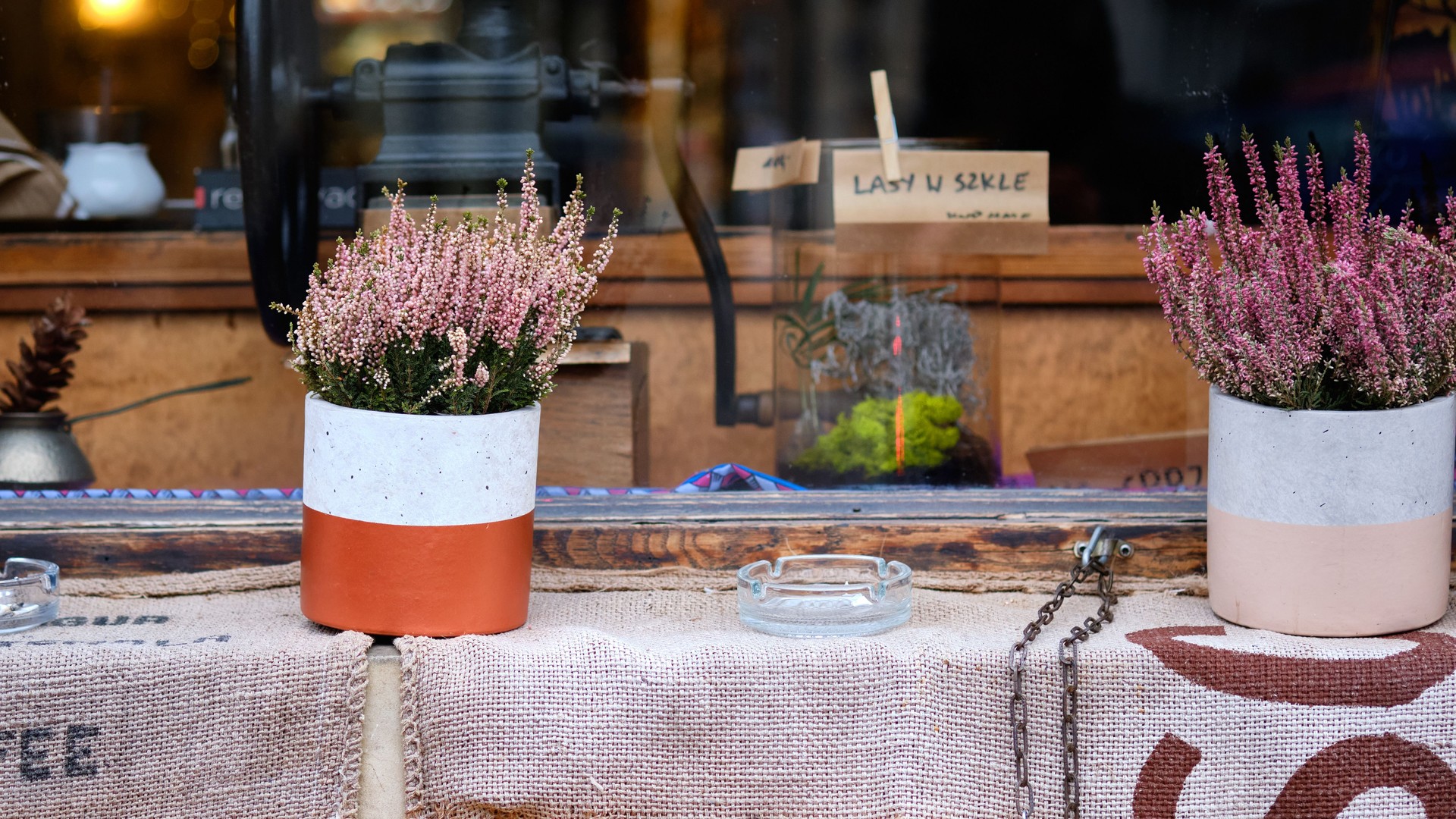 Vibrant plants in decorative pots enhance inviting atmosphere at local shop in autumn